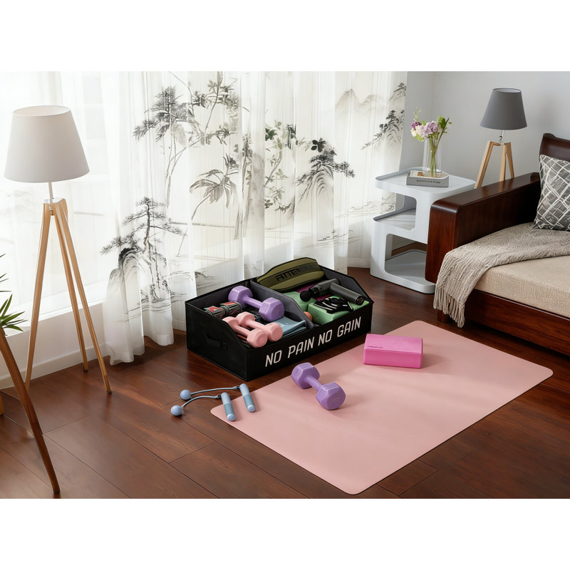 Foldable Fabric Gym Storage Box With Handles, Workout Equipment Organizer