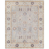 Palais Wool Oriental Area Rug