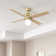 52" Hepburn 4 - Blade Indoor Modern Glam Ceiling Fan with Lights and Wall Control