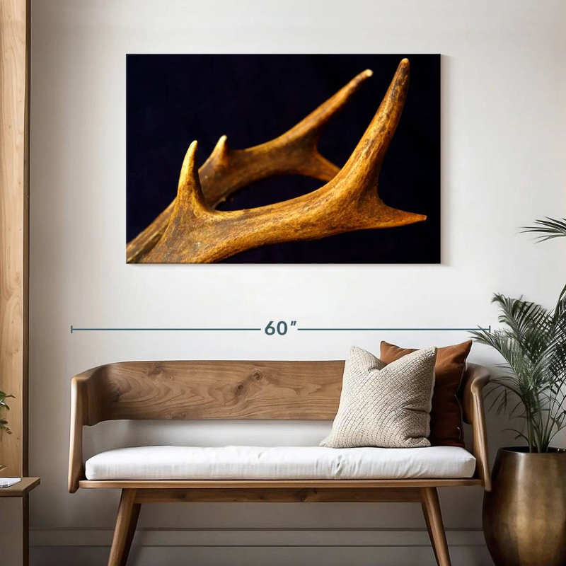 Brampt Deer Antlers, 30" H x 45" W