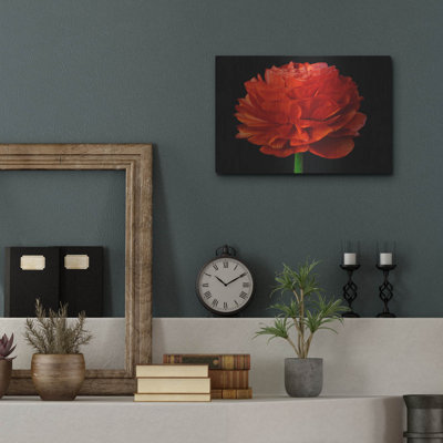 «Red Flower On Black 04» par Tom Quartermaine