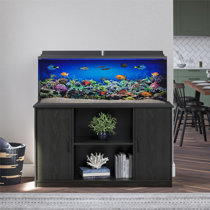Fish Tank Sizes & Types: How to Choose the Right Aquarium