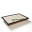 Bourassa Tray-1721136115-1721136114