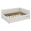 Lit plateforme tapissier double capitonné avec lit gigogne simple TG-30071380