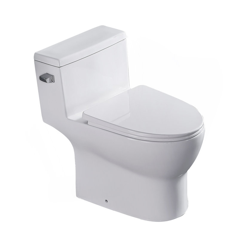 Ceramic One Piece Toilet