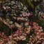 Countess Fabric