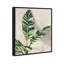 Jolies plantes I - Impression sur toile-77343988-77343989