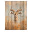 Antilope d'Afrique, cornes en spirale IV - art mural moderne en bois sur bois de pin naturel-1223745771