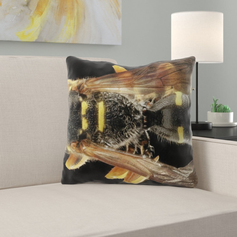 Coussin wasp