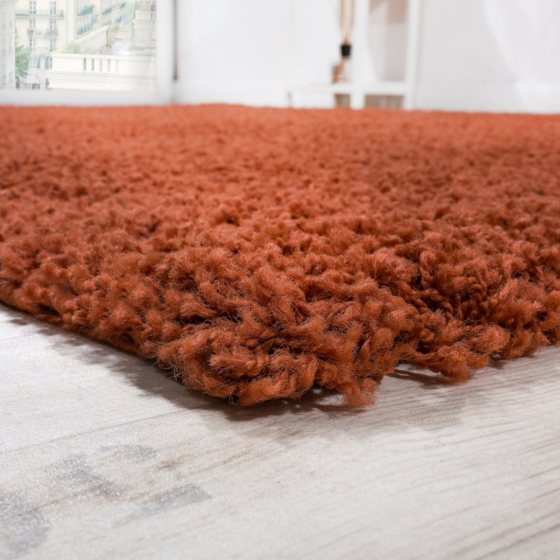 Lilith Solid Colour Area Rug, Rectangle 70 x 140cm