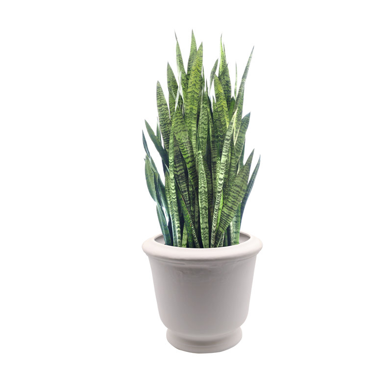 Talavera Ceramic Pot Planter