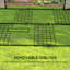 Norene 100cm W x 80cm D Mini Greenhouse