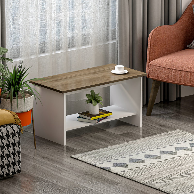 Ferdows Block Coffee Table with Storage