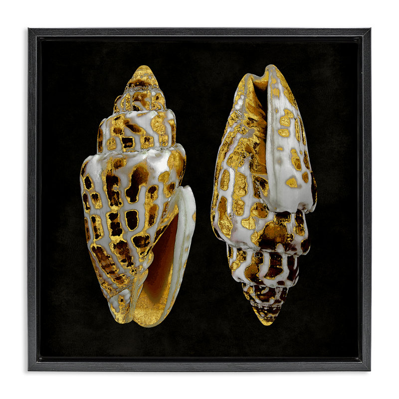 Art mural sur toile flottant "Spots Cowrie Shells" par Caroline Kelly, Cadre flottant noir de jais, H 18 po x l 18 po