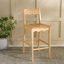 Rosetty Scallop Counter Stool-125847859
