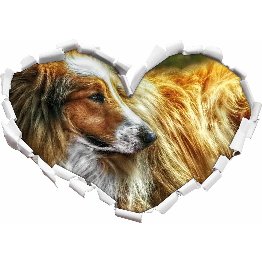 Wandtattoo Schöner Collie im Seitenprofil