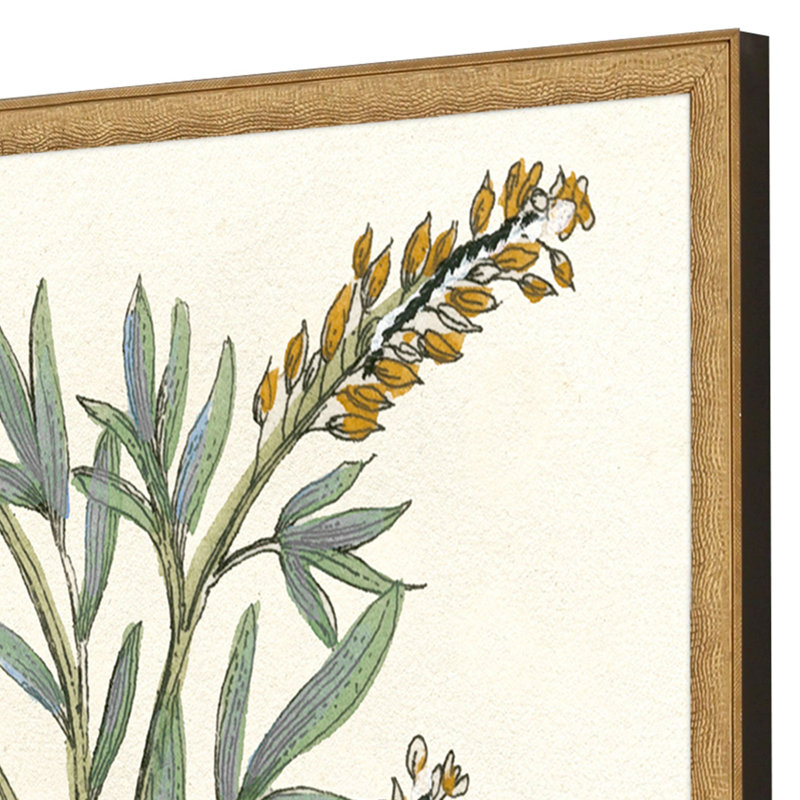 Botanical Plants III Set by Giclee Studio