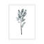 « herb » par albina bratcheva print-43718732-43718729