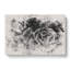 Succulent Plant - Wrapped Canvas Print-56658504