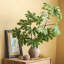 Faux eucalyptus de 37,4 po-1236016950