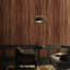 Sallie 1 - Light Copper Pendant