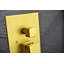 Thermostatique-97571279