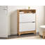 10 Pair Shoe Storage Cabinet