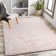 Modern Shaggy Area Pink/Cream