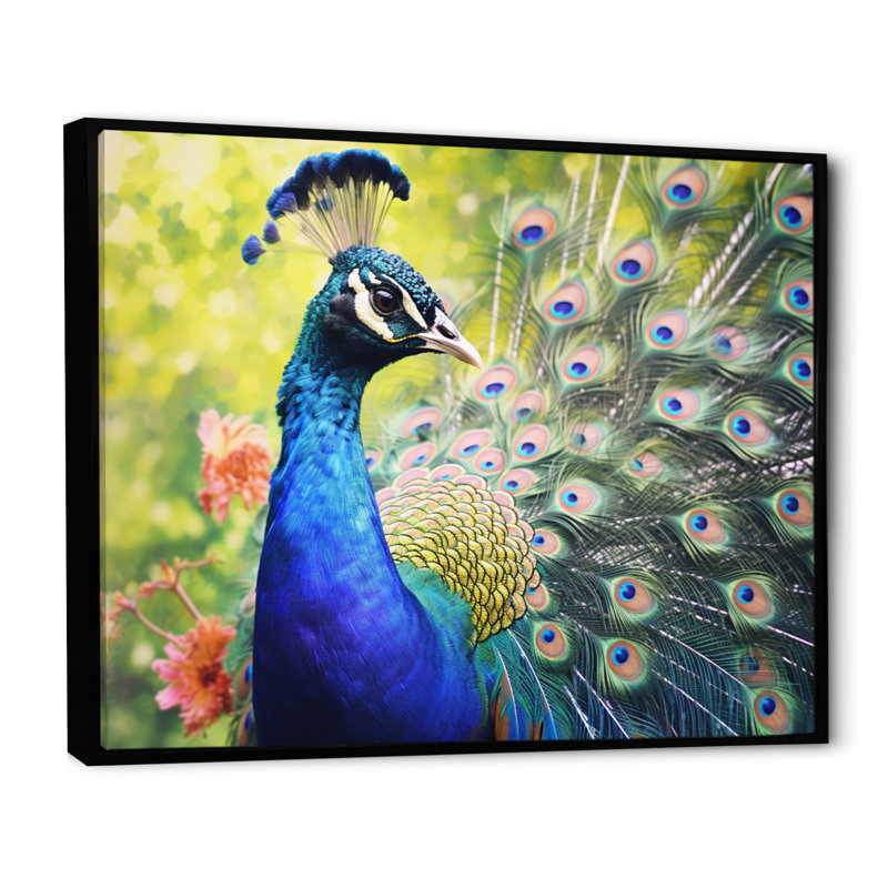 «Vibrant Peacock I» - art mural paon, Cadre flottant noir, H 12 po x l 20 po x P 1 po