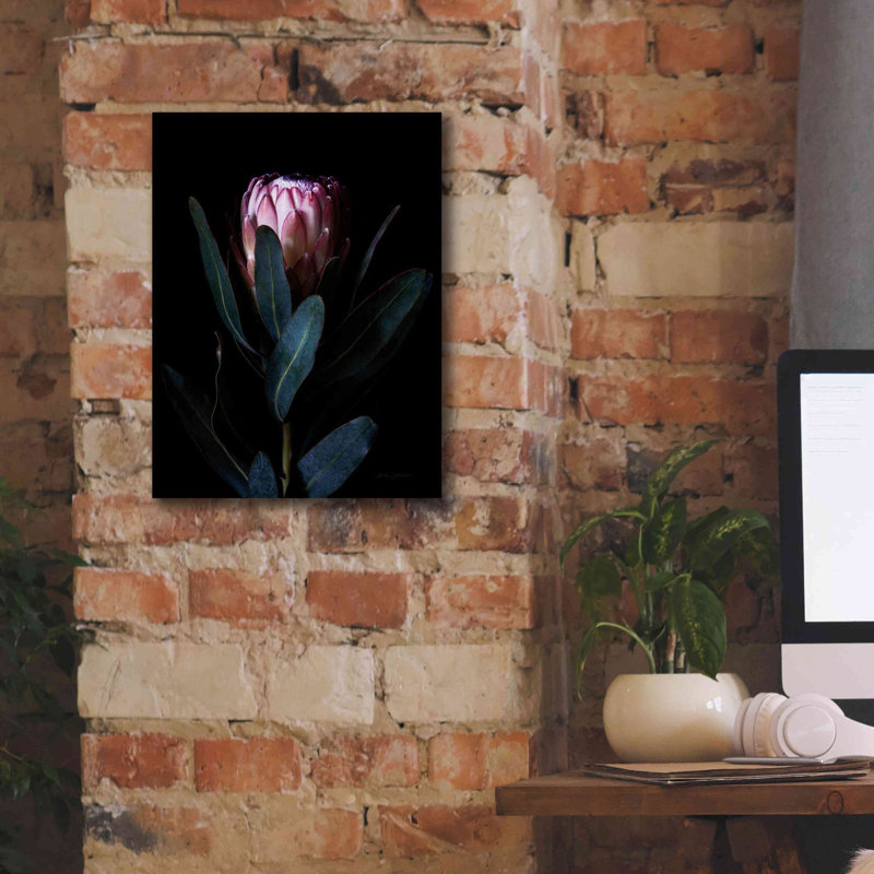 «Protea Portrait» par Elise Catterall, estampe numérique sur toile, H 16 po x l 12 po x P 0,75 po