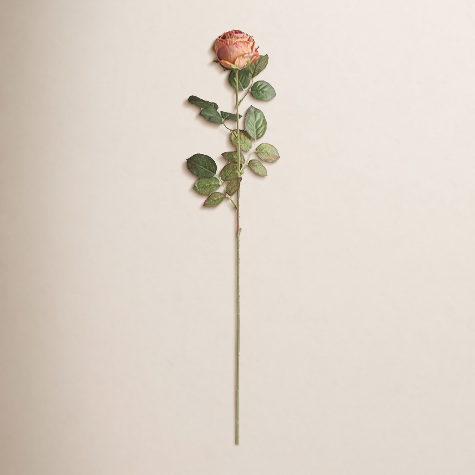 Rose Floral Stems