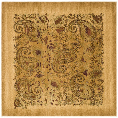 Klose Performance Paisley Rug