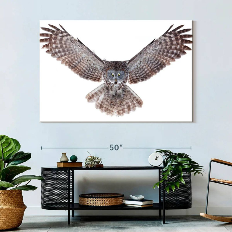 Owl Power, H 34 po x l 51 po