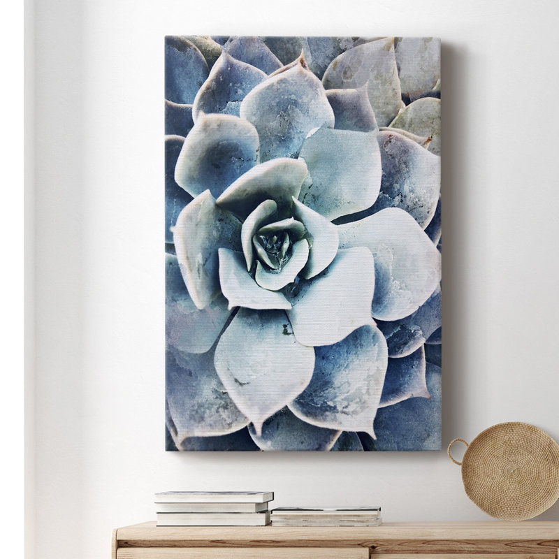 Toile tendue avec châssis de qualité supérieure Pastel Succulent Beauty III - Prêt à être accroché