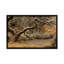 « transcendent érable », impression sur toile-72069683-72069675-72069676