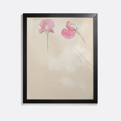 Lathyrus Print by Theo Nieuwenhuis