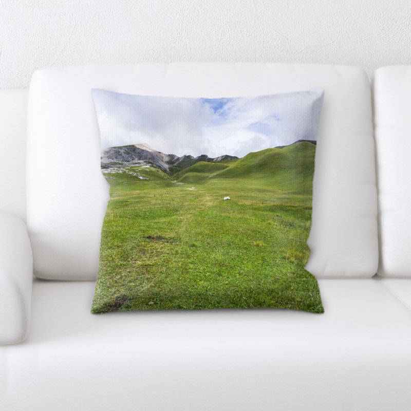 Coussin pré