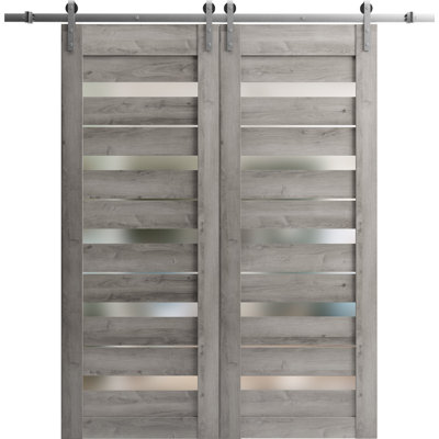 Porte de grange double robuste avec vitrage dépoli Quadro 4445 Gris Nebraska, supports de rail de 4 m (13 pi), portes intérieures à panneaux pleins et lourds - 162,5 cm x 244 cm (64 po x 96 po) (2 x 81 cm x 244 cm) - Rail argenté