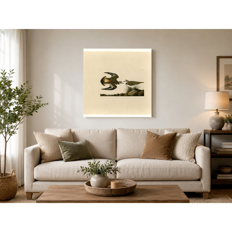 «Kildeer Plover» (planche 225) - art mural carré sur toile, 16" W x 16" H