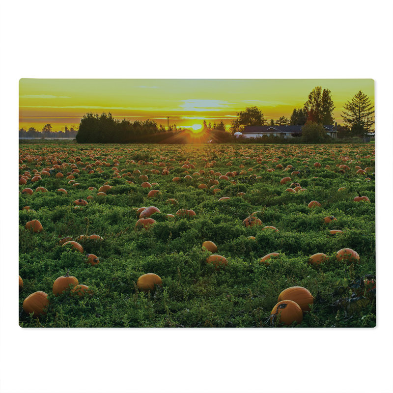 Ambesonne Autumn Pumpkin Cutting Board Large Size Fall Patch at Sunset Multicolor
