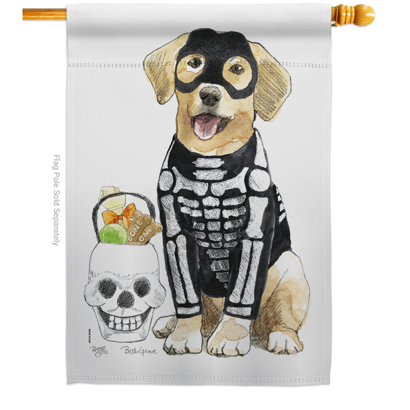 Squelette de laboratoire spooky en polyester à 2 faces 40 x 28 po drapeau pour la maison