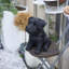 Polyresin Garden Statue-1652804323