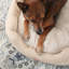 Lit pour tout-petits confortable et confortable CownleTown-103894224-103894228