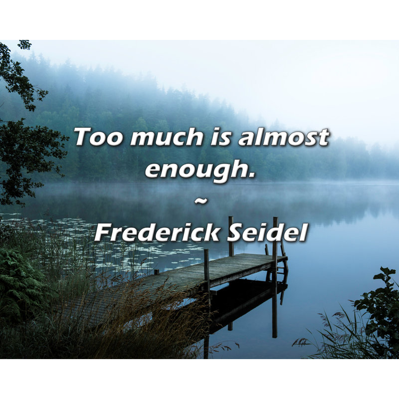 Frederick Seidel Citation: Trop, c'est presque assez.