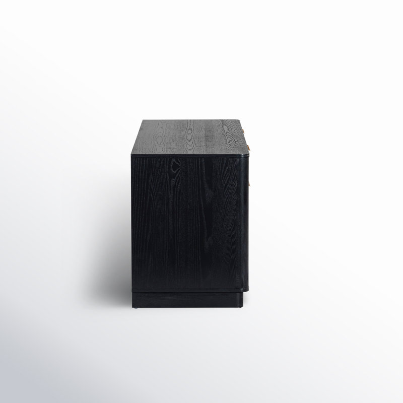 Tahani 2-Drawer Wood TV Stand, Black