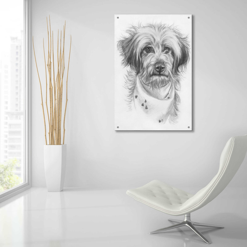 Pomapoo par Barbara Keith - impression sans cadre, L 24 po x H 36 po