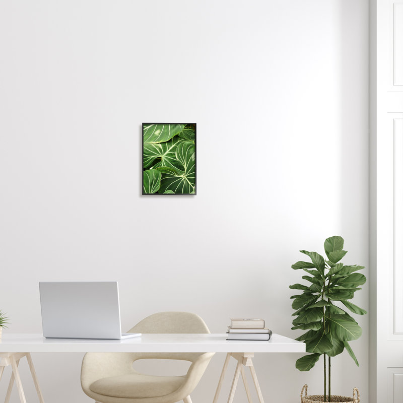 Végétale luxuriante à feuilles vertes, Giclée encadrée noir minuit, H 14 po x l 11 po x P 1,5 po