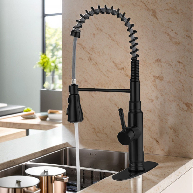 Casa Eclat Pull Down Kitchen Faucet, Matte Black