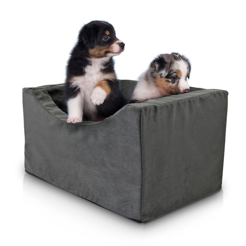 Siège d'appoint pour chien en mousse haute densité Dollie Co-Pilot, H 19 po x l 13 po x P 21 po, Noir