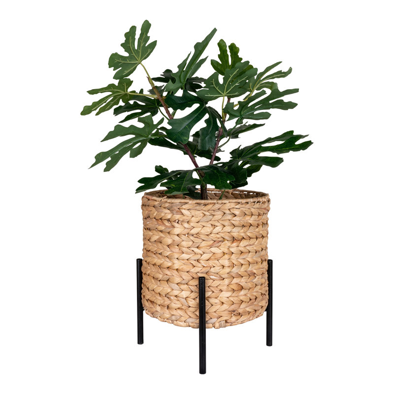 Philipstown Pot Planter